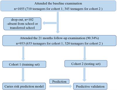 A New Model for <mark class="highlighted">Caries Risk</mark> Prediction in Teenagers Using a Machine Learning Algorithm Based on Environmental and Genetic Factors